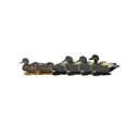 AVERY Pro-Grade Gadwall Decoys, 6-Pack (73145) - Avery