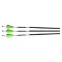 EXCALIBUR ProFlight 16.5in Illuminated Carbon 3 Pack Crossbow Arrows (22EXP16IL-3) - Excalibur Crossbow