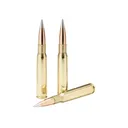 HORNADY Match 50 BMG 750 Grain A-MAX Ammo, 10 Round Box (8270) - Hornady