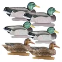 AVERY 6 Pack of Life-Size Mallard Decoys (73004) - Avery