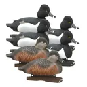 AVERY 6 Pack of Life-Size Ring-Necked Duck Decoys (73040) - Avery