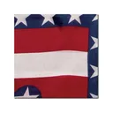 WYOMING TRADERS Liberty Regular Silk Scarf (LL) - Wyoming Traders