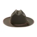 STETSON Royal Deluxe Open Road Sage Hat (TFROPR-362642) - Stetson