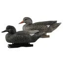 AVERY Life-Size Gadwall Decoys, 6-Pack (73045) - Avery