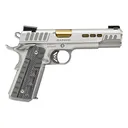 KIMBER Rapide Dawn .45 ACP 5in 9rd Stainless / Gray/Black Grips Pistol (3000423) - Kimber