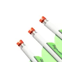 EXCALIBUR Beacon Nock with Aluminum Rhino Inserts, 3-Pack (10729) - Excalibur Crossbow