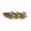 AVERY Pro-Grade Blue-Winged Teal Early Season Hen Decoys, 6-Pack (73126) - Avery