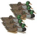AVERY Essential Series Mallards, 12-Pack (70010) - Avery