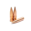 WILSON COMBAT Lehigh Defense 6.5mm Grendel 110Gr Match Solid 50rd Box Bullets (04264110SP) - Wilson Combat