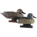 AVERY 6 Pack of Life-Size Blue-Winged Teal Decoys (73025) - Avery