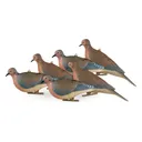 AVERY 6 Pack of Mourning Dove Decoys (72005) - Avery