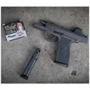 SIG SAUER P365-AXG Legion 9mm 3.1in 3x17rd Gray Cerakote Pistol with Romeo X Red Dot (365AXGCA-9-LEGION-RXX) - Sig Sauer
