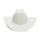 STETSON Unisex Adults Skyline Silver Grey Hat (SFSKYL-754088) - Stetson