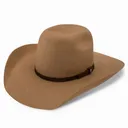 RESISTOL Hooey 4X Day Money Felt Pecan Cowboy Hat (RWHODM-9042P5) - Resistol