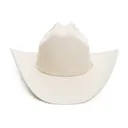 STETSON Unisex Adults Skyline Silverbelly Hat (SFSKYL-754061) - Stetson