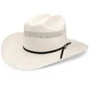 RESISTOL USTRC Big Money Natural Hat (RSUSBM-304081) - Resistol