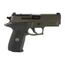 SIG SAUER P229 Legion 9mm 3.9in 3x10rd X-Ray Sights Cerakote Elite Gray SA Pistol (229RM-9-LEGION-SAO-R2) - Sig Sauer