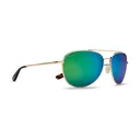KAENON Driver Gold Tortoise / Ultra Coastal Green Sunglasses (306GDTOST-UGRN) - Kaenon