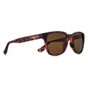 KAENON Avalon Matte Tortoise / Brown 12 Sunglasses (074MEMGL-B120) - Kaenon