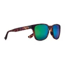KAENON Avalon Matte Tortoise / Coastal Green Mirror Sunglasses (074MEMGL-GREN) - Kaenon