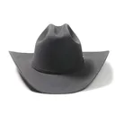 STETSON Skyline Granite Gray 6X Cowboy Hat (SFSKYL-754049) - Stetson