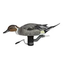 AVERY GHG Finisher Swimmer Motion Pintail Drake Decoy (78002) - Avery