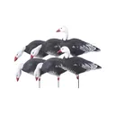 AVERY 6-Pack Pro-Grade Full Body Blue Goose Harvester Decoys (71202) - Avery
