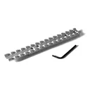 EVOLUTION GUN WORKS For Ruger 10-22 20 MOA Picatinny Silver Rail Mount (46112) - Evolution Gun Works