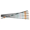 RAVIN CROSSBOWS XK5 .001 HD 500 Grain 6-Pack Arrows (R149) - Ravin Crossbows