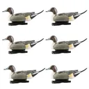 AVERY Hunter Series Life Size All Drake Pintail Decoys, 6-Pack (73050) - Avery