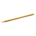 OTIS Male Rod (IP11009100P) - Otis Technology