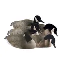 AVERY 12 Pack of Pro-Grade Honker Shells Harvester Decoys (72064) - Avery