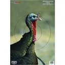 BIRCHWOOD CASEY Pregame 12x18in 8-Pack Turkey Target (35403) - Birchwood Casey