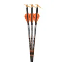 RAVIN CROSSBOWS Ravin 400 Grain 001 Premium Match-Grade Lighted Arrows (R134) - Ravin Crossbows
