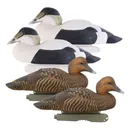 AVERY Pro-Grade Foam Filled Eider Duck Decoys, 4-Pack (74028) - Avery