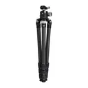 VORTEX Radian Carbon With Ball Head Tripod Kit (TR-RADB) - Vortex Optics