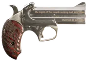 Bond Arms PT2A-Protect the 2nd Amendment Stainless .45LC/.410Ga  4.25 Barrel 2-Rounds - Bond Arms