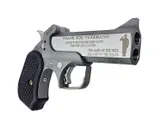 Bond Arms 30th Vet Stainless .45 Colt / .410 GA 4.25 Barrel 2-Rounds - Bond Arms