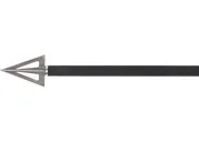 Allen Beartooth Broadhead 100GR - Allen Company