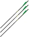 Allen CX600 22IN Crossbow Bolt 3PK .006 - Allen Company
