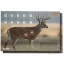Allen Company EZ Aim Paper Four Color Whitetail Deer Target 23x35 2 Pack - EZ AIM