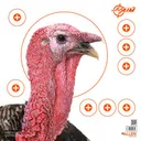 Allen EZ Aim Paper Four Color Patterning 12X12 Turkey 6 Pack - Allen Company