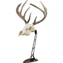 Allen EZ Mount Centerpiece Skull Stand Brown - Allen Company