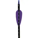 Arizona Archery PMAX VANE 2 3/8 inch PURPLE 100P - Arizona Archery