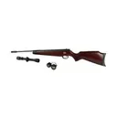 Beeman Ram Hardwood .22 Air 20-inch with 4x32mm Scope - Beeman