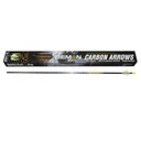 Beman ICS Bow HuntER 340 2 inch XPV DZ - Beman
