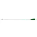 Beman ICS Hunter 500 Blazer DZ - Beman