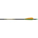 Beman ICS Bow HuntER 500 Shafts DZ - Beman