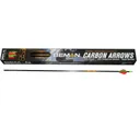 Beman ICS Bow HuntER 400 2 inch XPV DZ - Beman