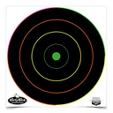 Birchwood Casey DIRTY BD MC 12-inch BULL-T 100 - Birchwood Casey